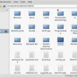 Lubuntu file manager The File manager for Lubuntu, showing the C:\ drive